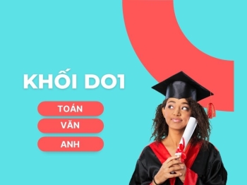 Học Ngành Thương Mại Điện Tử Đại Học Thủy Lợi: Có Nên Chọn Tổ Hợp D01 Không?